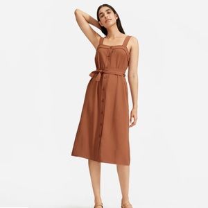 Everlane The Japanese GoWeave Picnic Dress